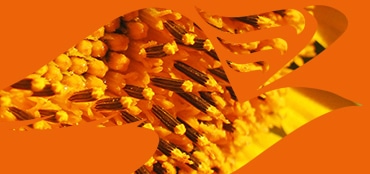 Lettre d'actualité fiscale novembre 2017